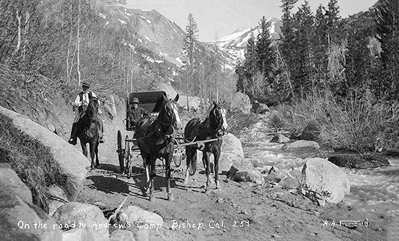 on the road to andrews camp